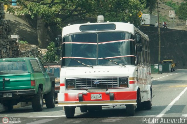 DC - Tigres de Plan de Manzano 031 por Pablo Acevedo