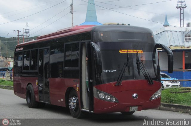 A.C. Transporte Paez 010 por Andr�s Ascanio