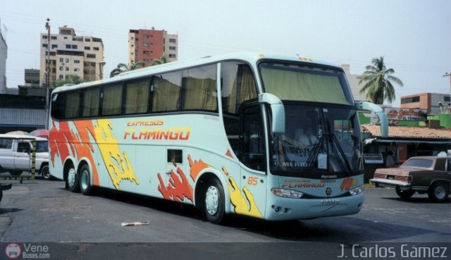 Expresos Flamingo 85 por J. Carlos G�mez