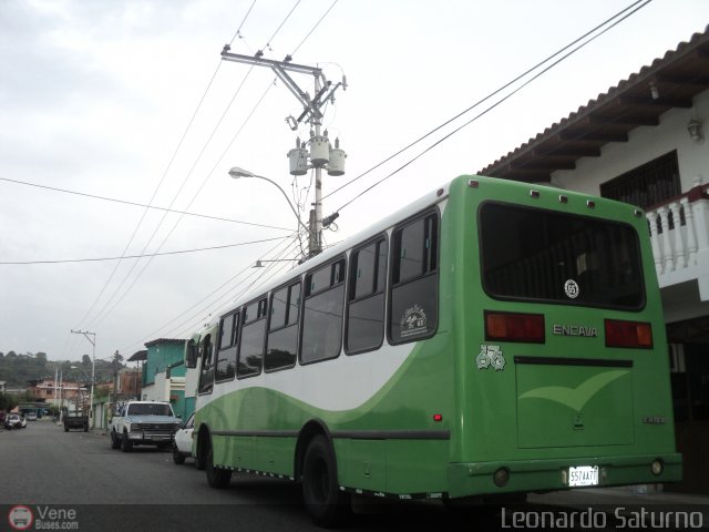 Lnea Los Andes S.C. 065 por Leonardo Saturno