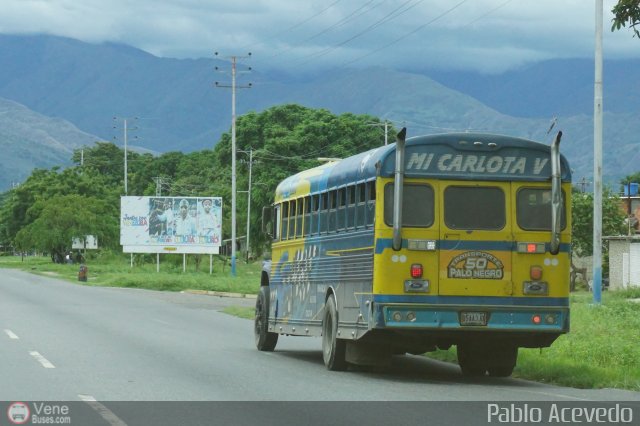 Transporte Colectivo Palo Negro 50 por Pablo Acevedo