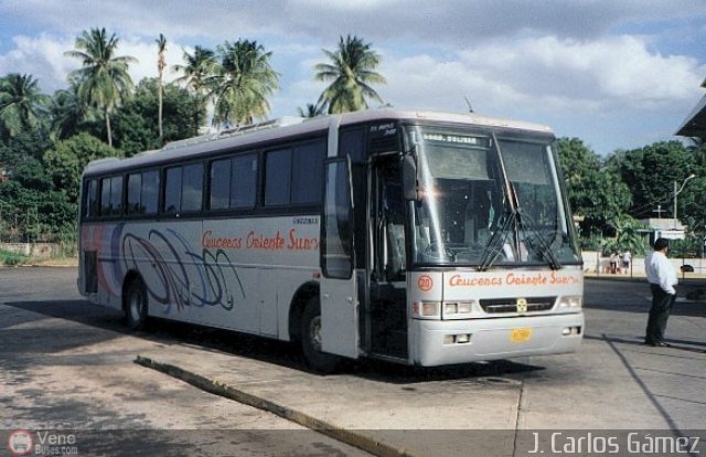 Cruceros Oriente Sur 120 por J. Carlos Gmez