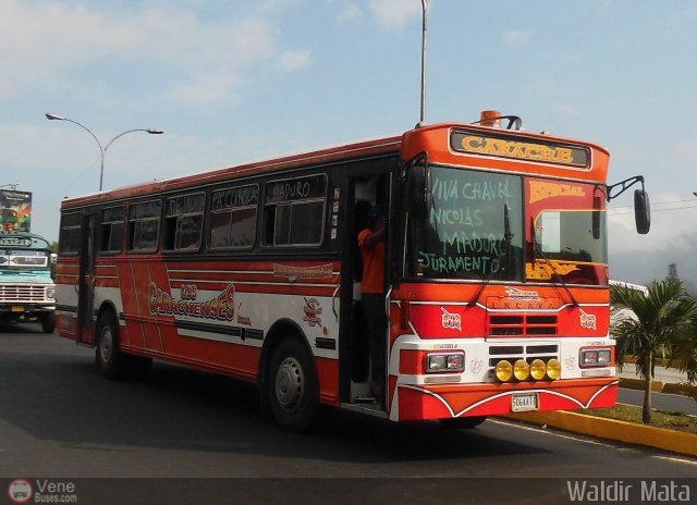 Transporte Carache 13 por Waldir Mata