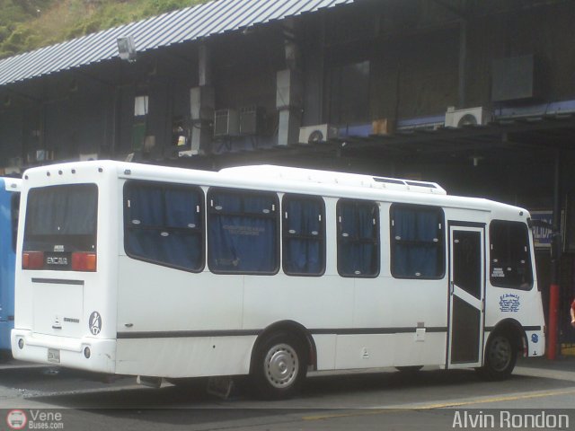 U.C. San Antonio S.C. 242 por Alvin Rond�n