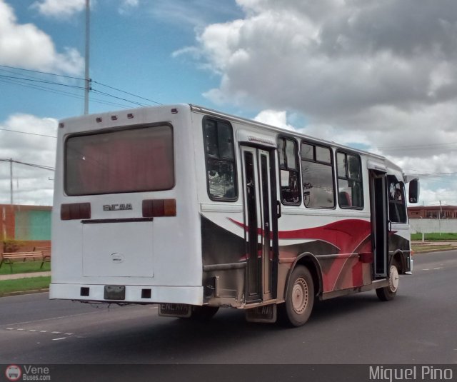 Transporte Tren al Sur C.A. 05 por Miguel Pino