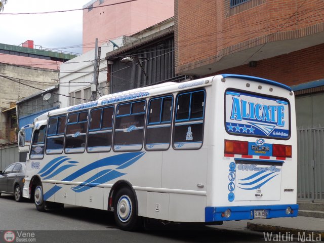 A.C. Transporte Paez 008 por Waldir Mata