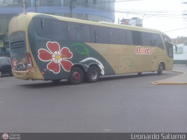 Transporte Flores Hermanos S.R.L 959 por Leonardo Saturno