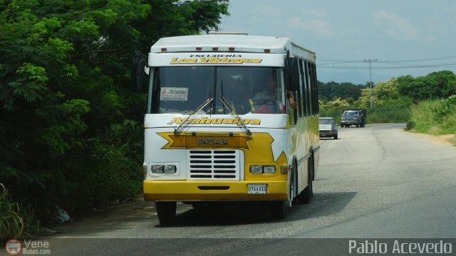 A.C. de Transporte La Raiza 137 por Pablo Acevedo