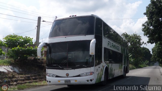 Expresos Flamingo 0183 por Leonardo Saturno