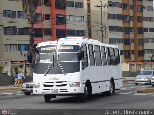 Lnea Los Andes S.C. 009 por Alberto Bustamante