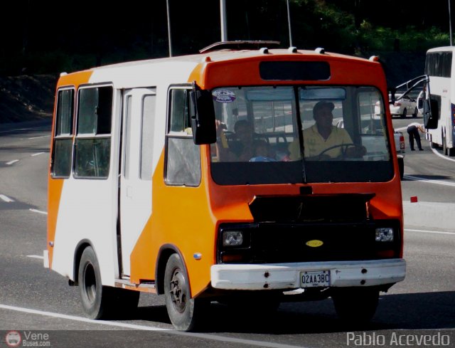 Particular o Desconocido Miranda por Pablo Acevedo