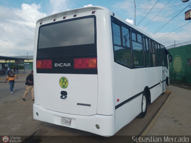 A.C. de Transporte Larense 30 por Sebastin Mercado