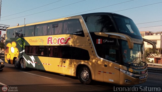 Transporte Flores Hermanos S.R.L 955 por Leonardo Saturno