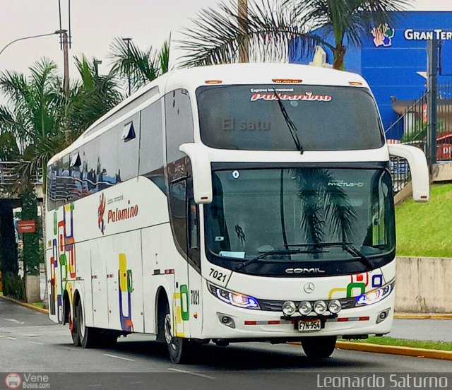 Expreso Internacional Palomino 7021 por Leonardo Saturno