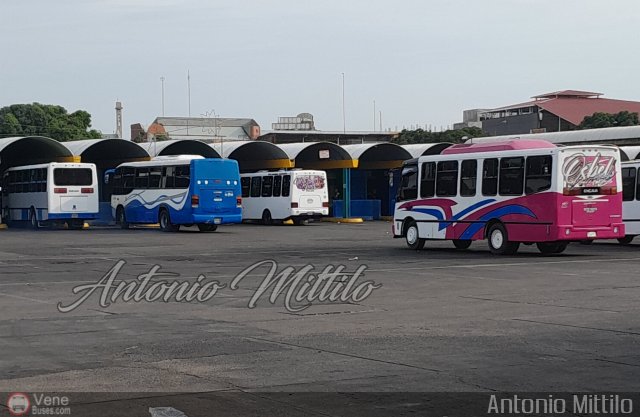 Garajes Paradas y Terminales San-Fernando por Antonio Mittilo