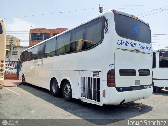 Expresos Pegamar 1060 por Josue S�nchez
