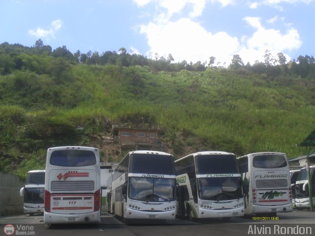 Garajes Paradas y Terminales Caracas por Alvin Rond�n