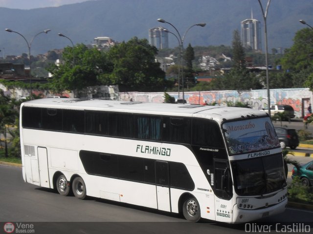 Expresos Flamingo 0081 por Oliver Castillo
