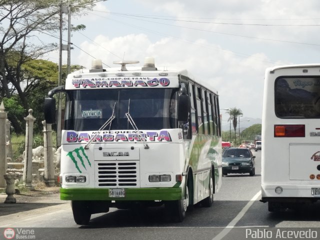 A.C. de Transporte Sol de Tamanaco 11 por Pablo Acevedo