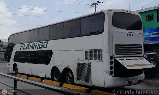 Expresos Flamingo 2024 por Kimberly Guerrero