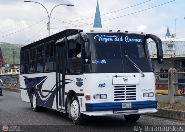 Transporte Virgen del Carmen 28 por Aly Baranauskas