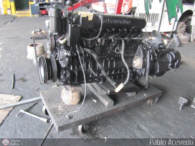 Expresos Flamingo 0100 por Pablo Acevedo