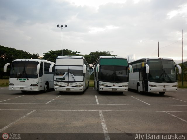 Garajes Paradas y Terminales Guacara por Aly Baranauskas