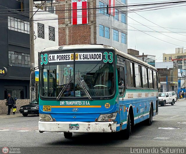 E.T. 33 S.A. 038 por Leonardo Saturno