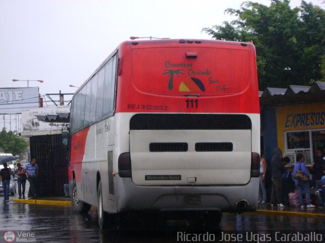 Cruceros Oriente Sur 111 por Ricardo Ugas