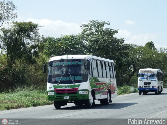 A.C. de Transporte Sol de Tamanaco 08 por Pablo Acevedo