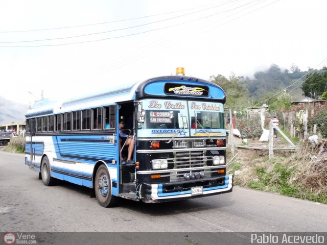 Expresos Continente C-20 por Pablo Acevedo