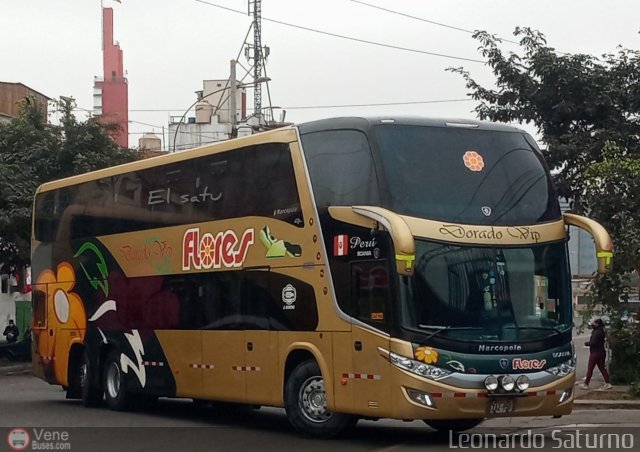Transporte Flores Hermanos S.R.L 950 por Leonardo Saturno