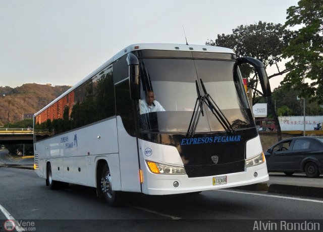 Expresos Pegamar 1011 por Alvin Rondón