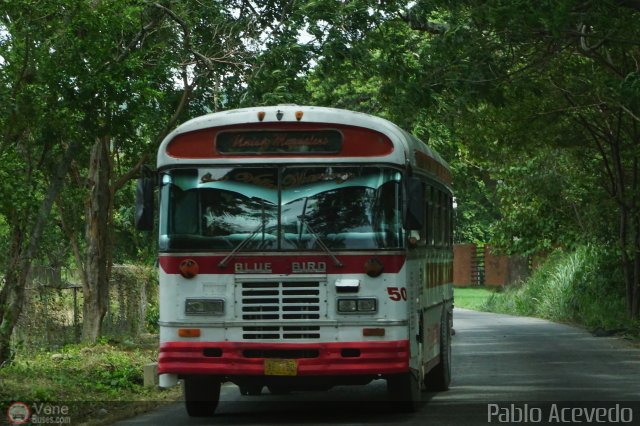 Uni�n Magdaleno A.C. 50 por Pablo Acevedo