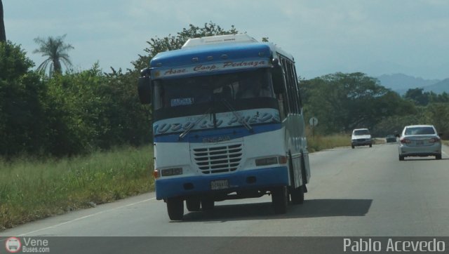 A.C. Pedraza 095 por Pablo Acevedo