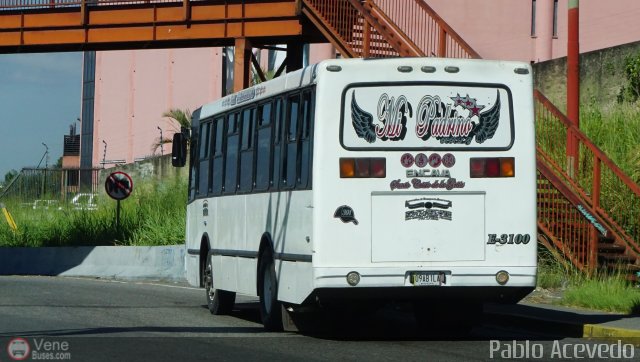 A.C. de Transporte Encarnaci�n 391 por Pablo Acevedo