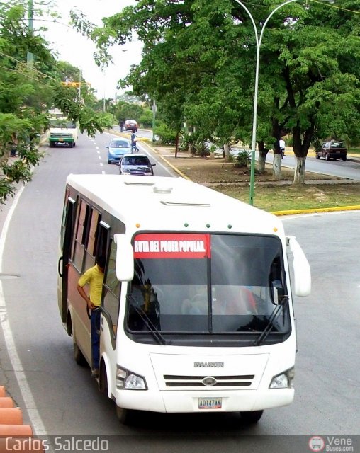 Uso Oficial 01 por Carlos Salcedo