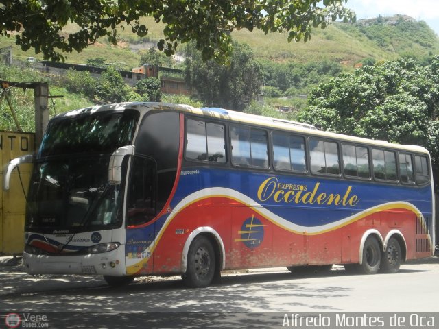 Expresos Occidente 344 por Alfredo Montes de Oca