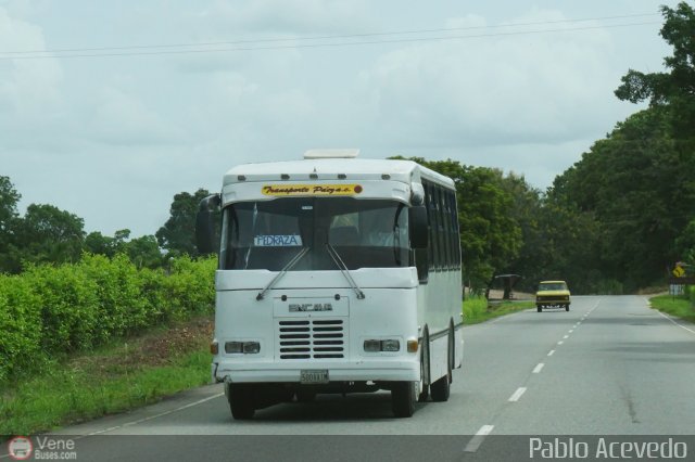 A.C. Transporte Paez 005 por Pablo Acevedo