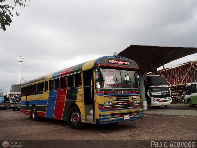 Expresos Continente C-40 por Pablo Acevedo