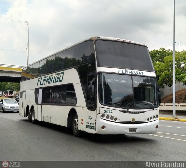 Expresos Flamingo 2024 por Alvin Rond�n