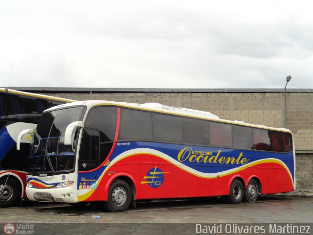 Expresos Occidente 305 por David Olivares Martinez