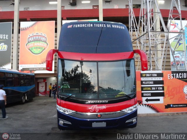 Tigres de Aragua B.B.C. 01 por David Olivares Martinez