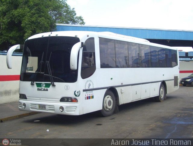 Servicios Especiales del Centro C.A. 01 por Alvin Rond�n