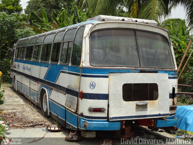 Expresos Horizonte 16 por David Olivares Martinez