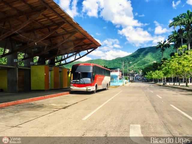 Cruceros Oriente Sur 113 por Ricardo Ugas
