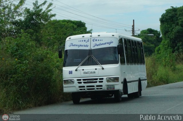 A.C. Transporte Palmarejo 08 por Pablo Acevedo