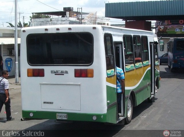 A.C. Uni�n Palo Negro 038 por Carlos Salcedo