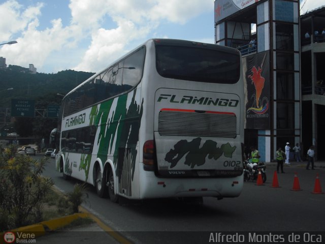 Expresos Flamingo 0102 por Alfredo Montes de Oca