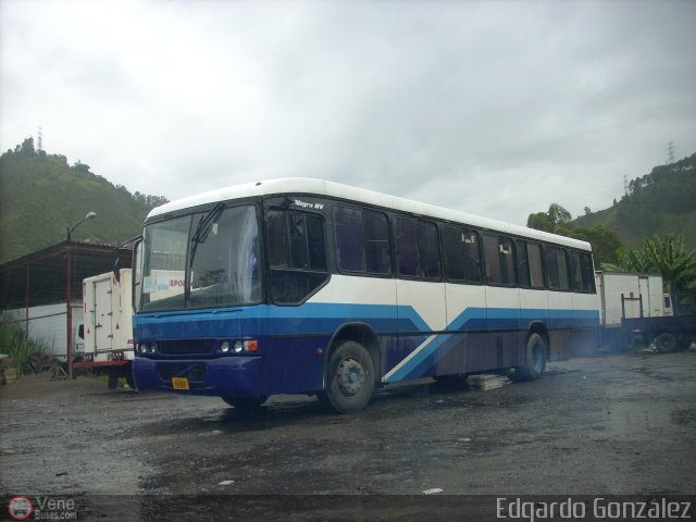 Particular KG-0210 por Edgardo Gonzlez